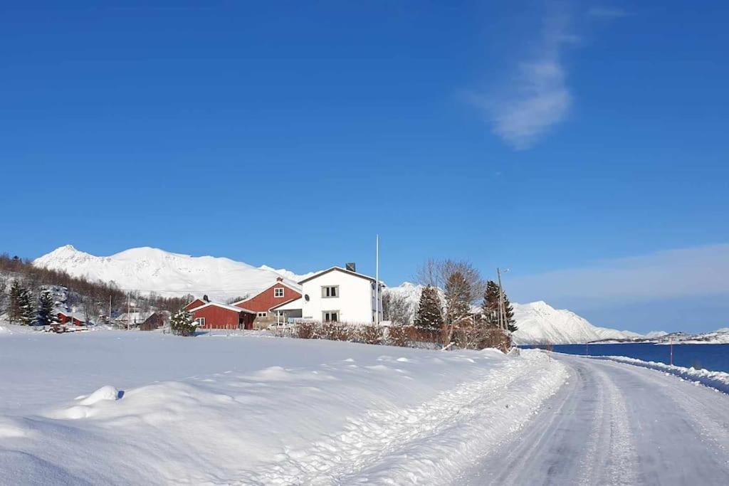 Traditional Farm House Located Close To Fjord Lyngseidet Kültér fotó