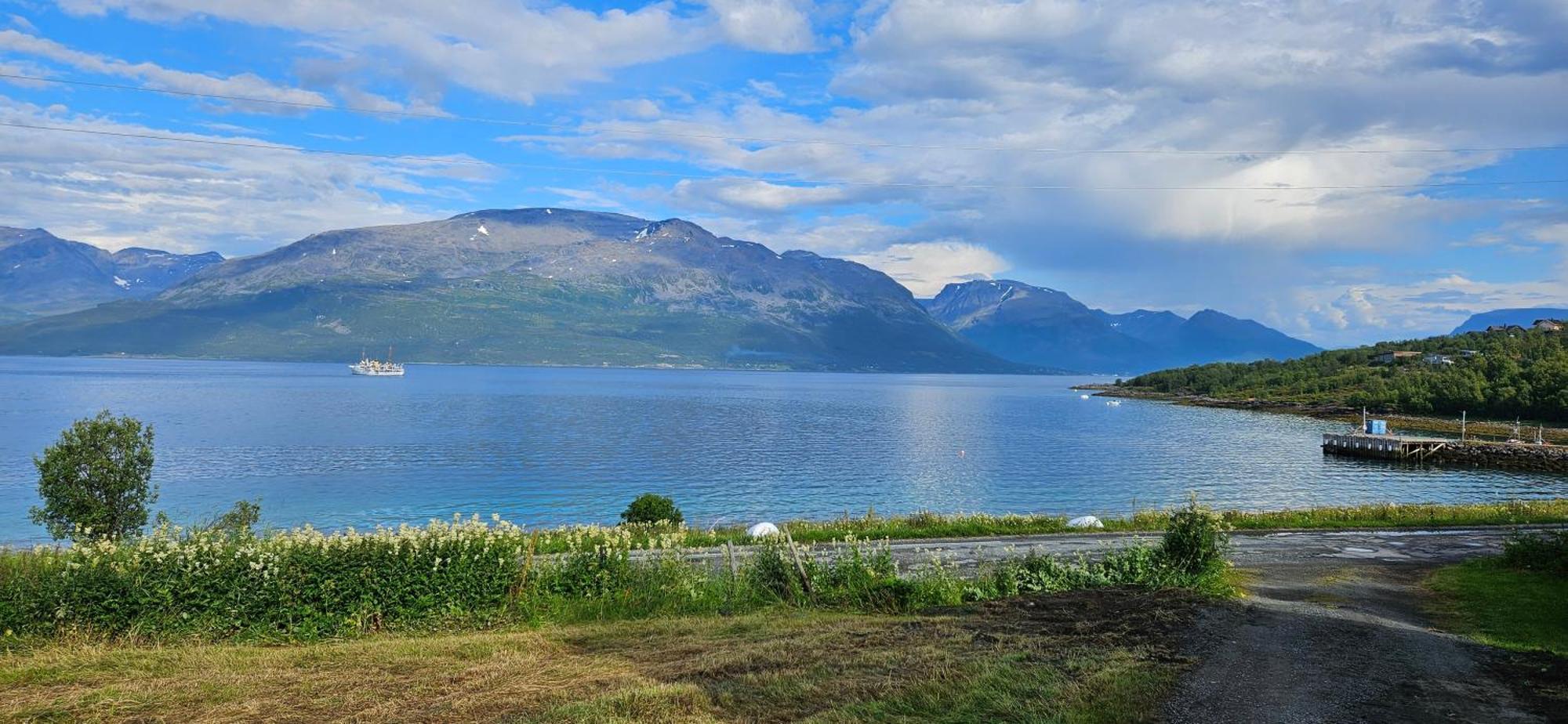Traditional Farm House Located Close To Fjord Lyngseidet Kültér fotó
